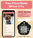Paw Prints Home QR Code ID Tag