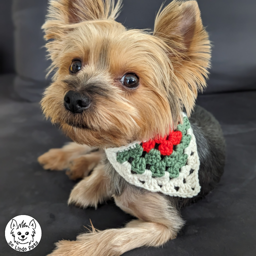 Crochet Bandanas (Mini)